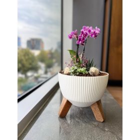 Kaspó Nostalgia 3 lábú 19cm 494