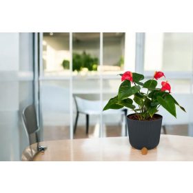 Kaspó Nostalgia magas 3 lábú 31cm 453