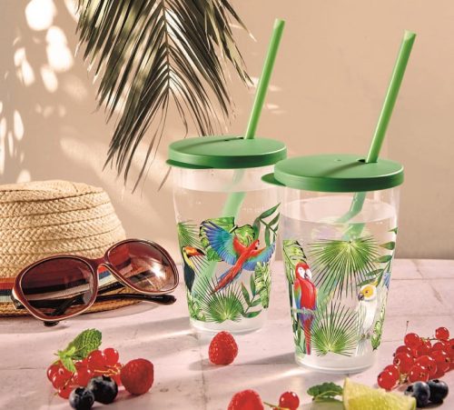 Pohár műanyag tetővel szívószállal madár minta 0,5L 010085