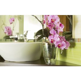 Kaspó orchidea Miltonia crystal  1,58 l átlátszó 133