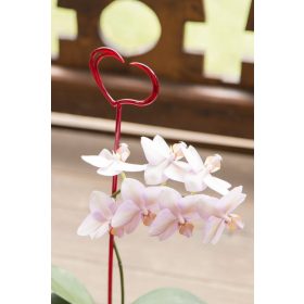 Szív alakú díszítő-támasztó pálca piros