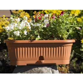 Virágláda alátéttel Verbéna 1,9L terrakotta 300