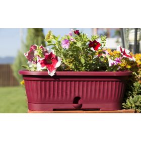 Virágláda alátéttel Verbéna 1,9L meggy 300