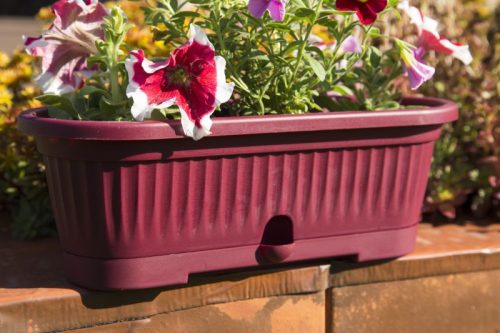 Virágláda alátéttel Verbéna 1,9L meggy 300