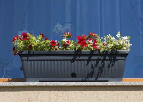 Virágláda alátéttel Verbéna 13,75L antracit 600 AKCIÓ