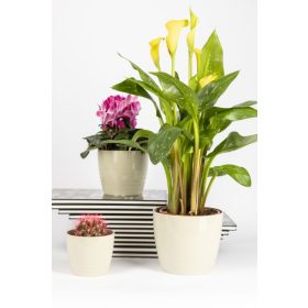 Kaspó Silvia 0,17L homok 70