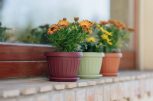  Kaspók, vázák, virágládák - Flower pots, vases